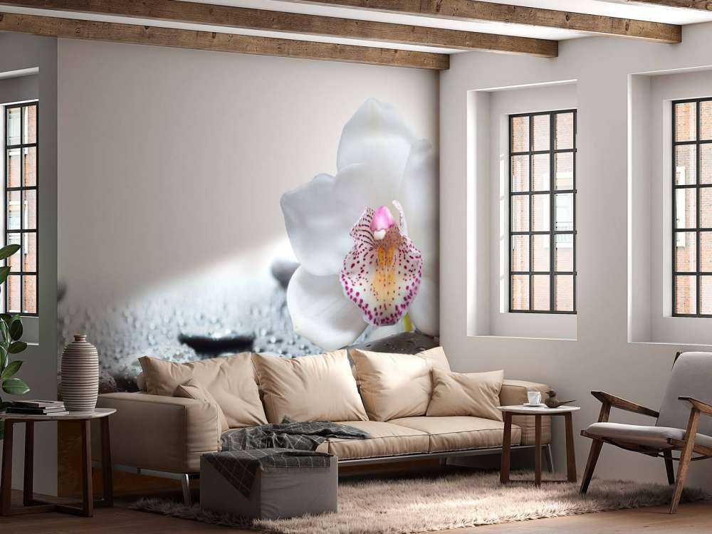 Witte orchidee