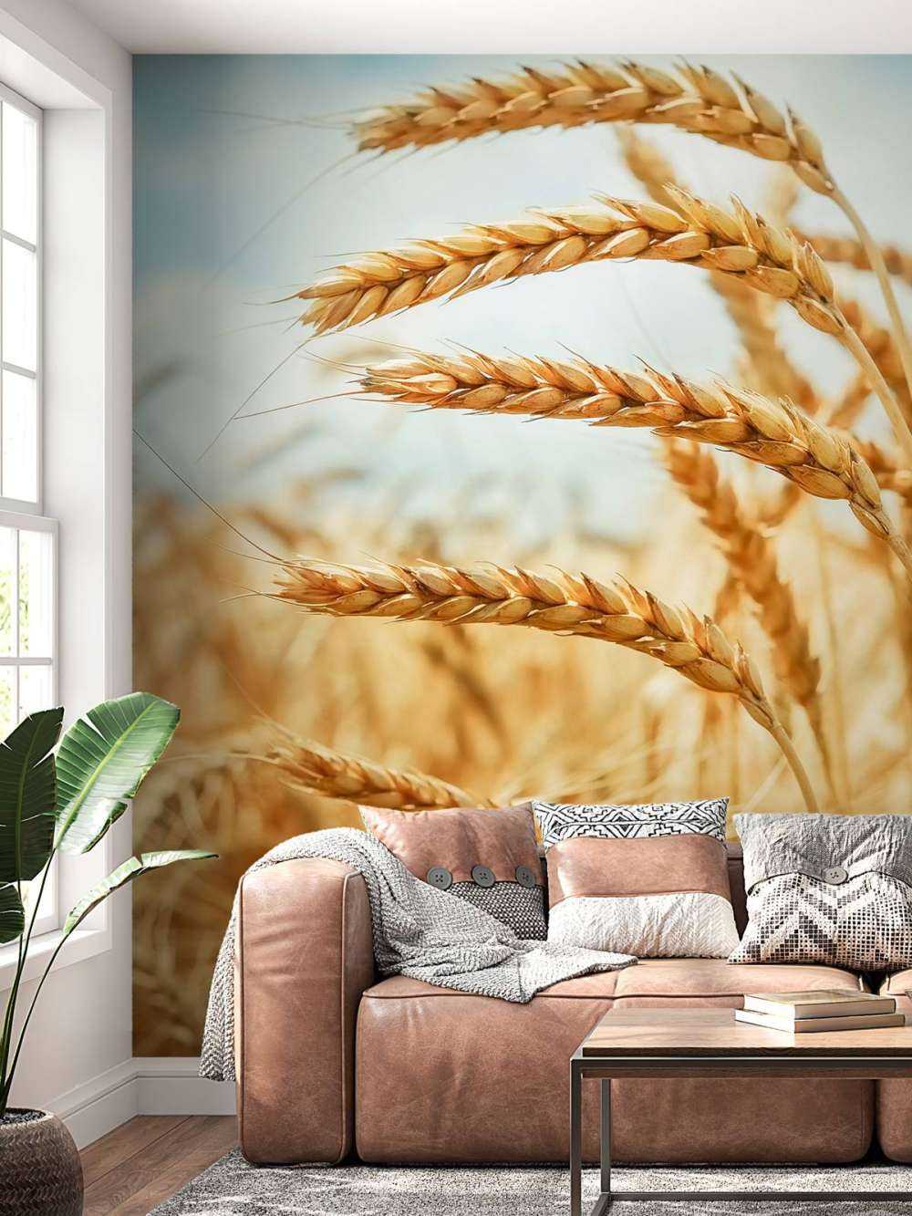 Close up van een granen plant