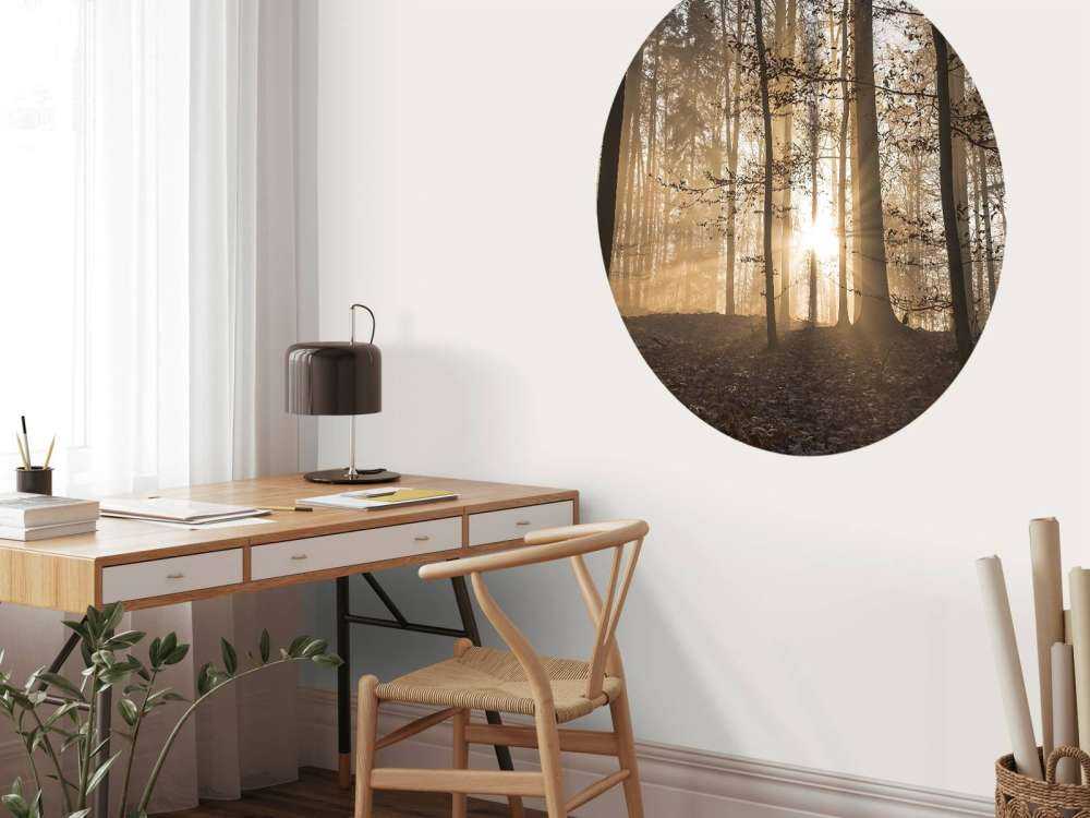 Zonnestralen in een mistig bos