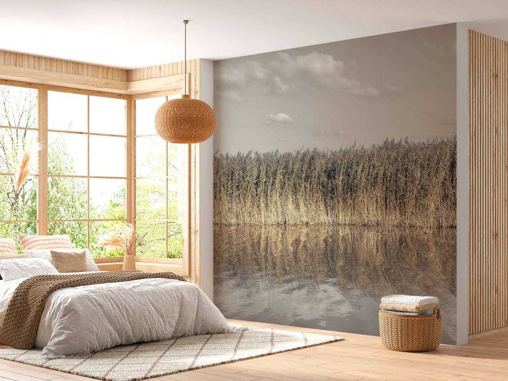 Tall reeds lining the banks of a calm canal