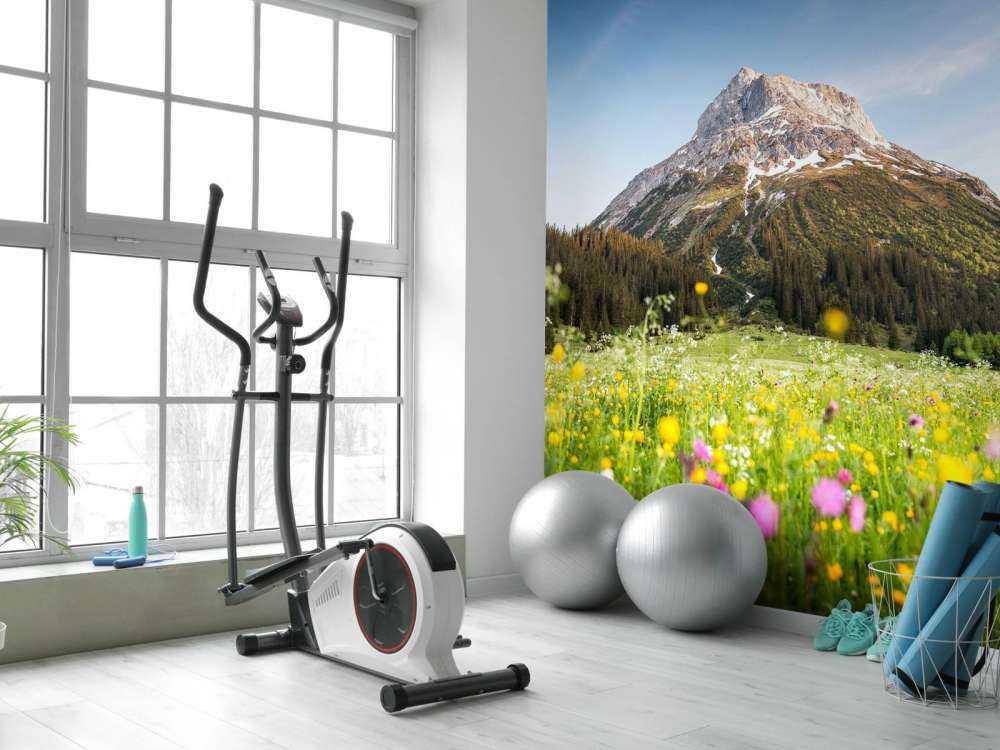 Bergtop boven bloemenweide