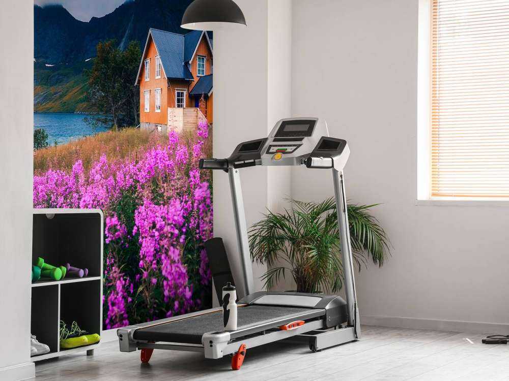 Oranje huis aan paarse fjord