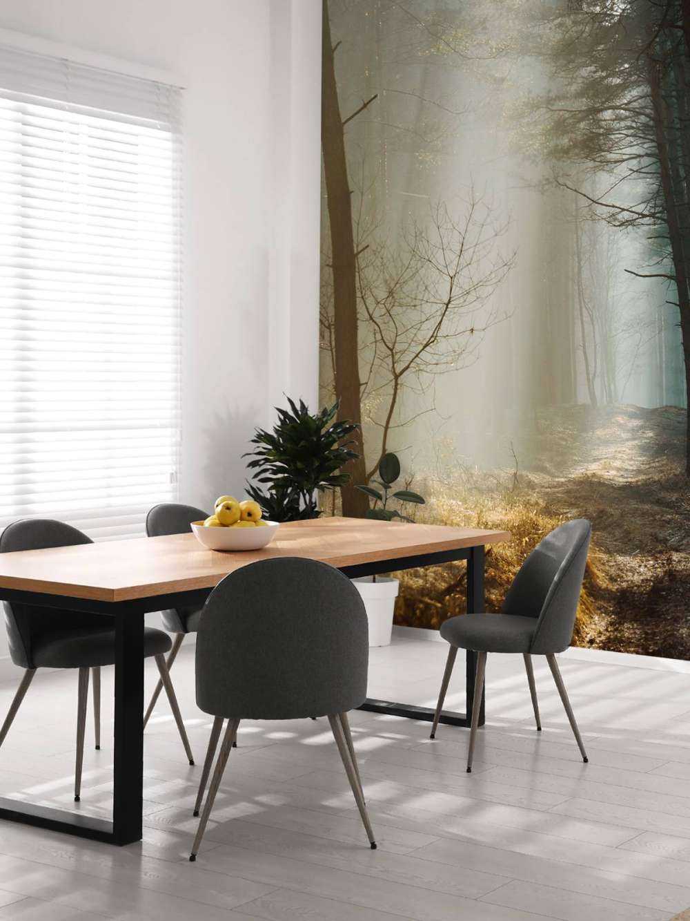 Zonnestralen in een Herfstig Bos