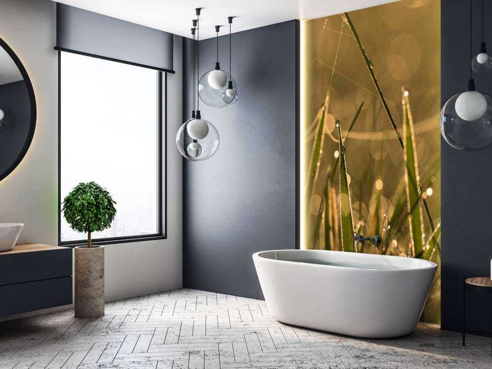 Glanzend Ochtendgras