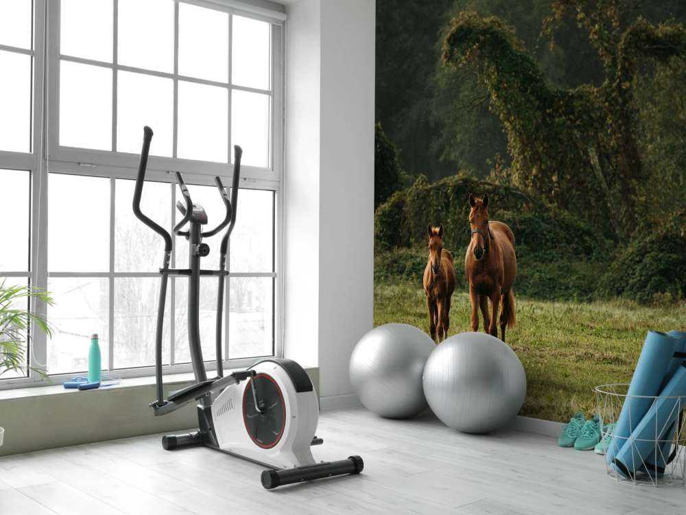 Paarden in een Mystiek Landschap