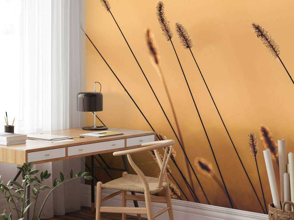 Fluisterend Gras in de Ochtendzon