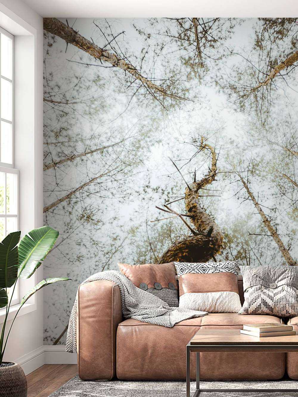 De Dansende Boomstam