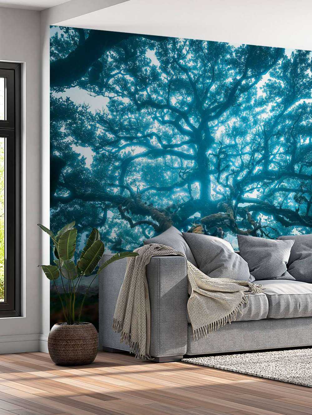 Oude eik in nevelwoud