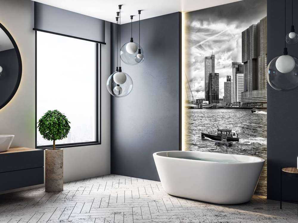 Erasmusbrug en Skyline in Monochroom