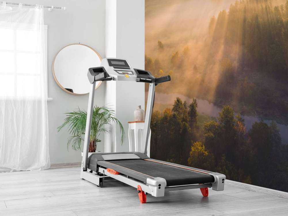 Dromerige Ochtendmist in de Natuur