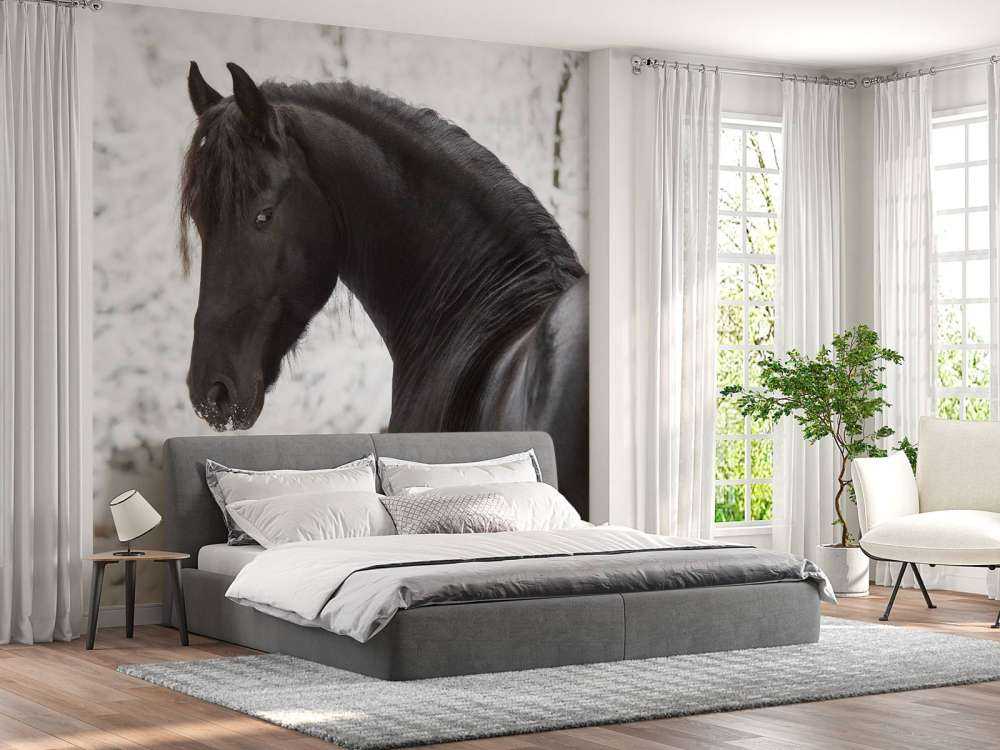 Fries Paard in de sneeuw