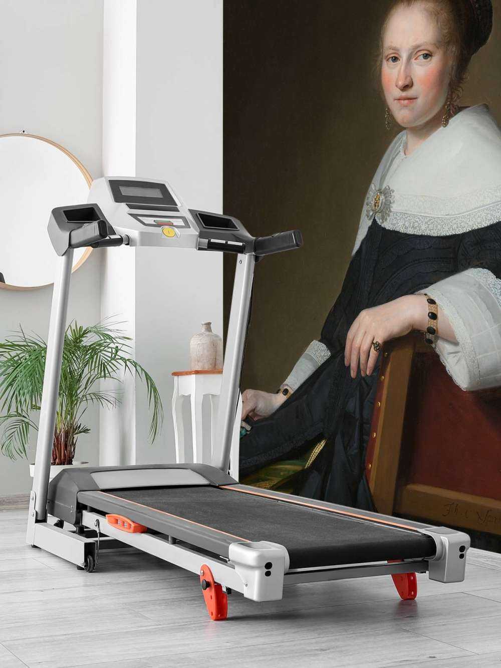 Portret van Maria van Strijp