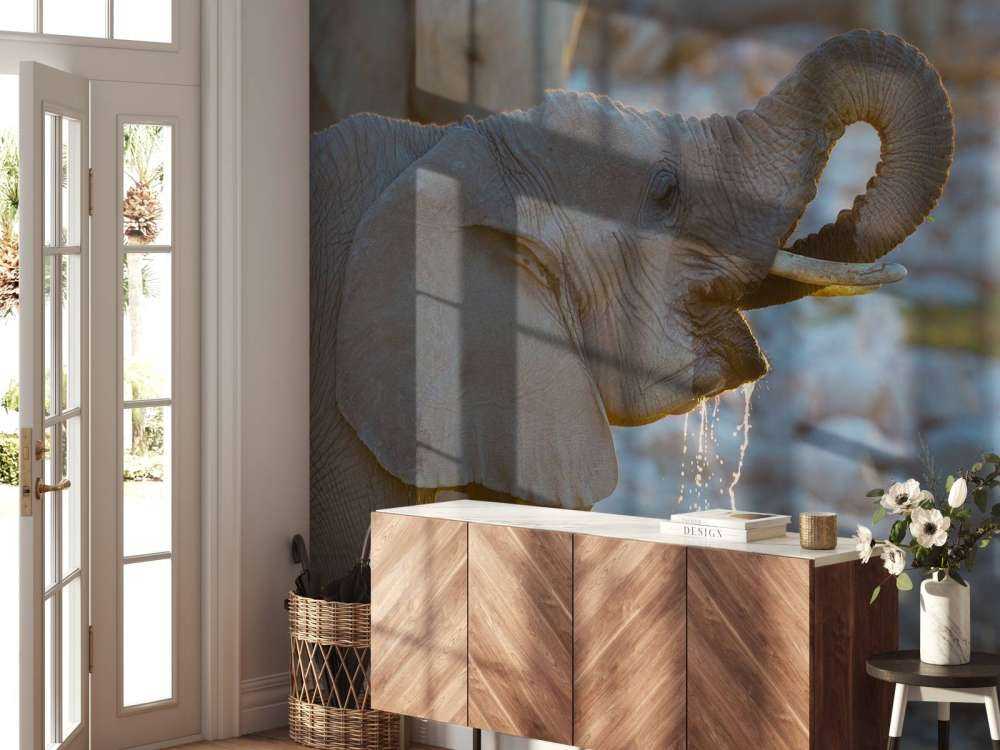 Olifanten drinken water