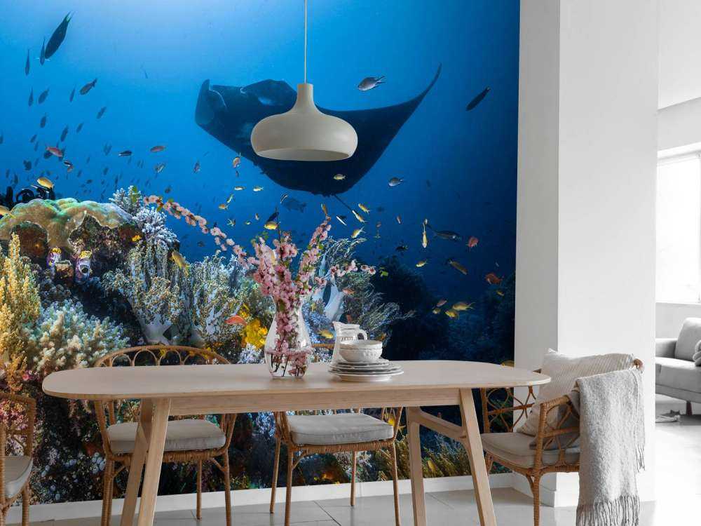 Manta reef on the reef