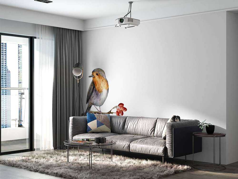 Vogeltje op een takje met een witte achtergrond