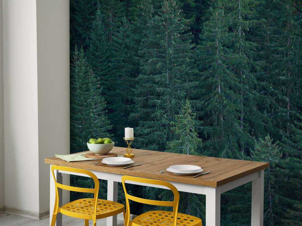 Naaldbomen met dennenappels