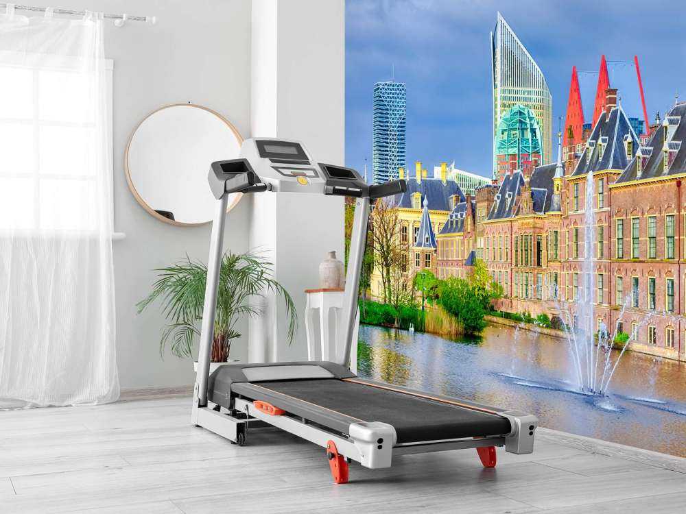 Het Binnenhof in de lente