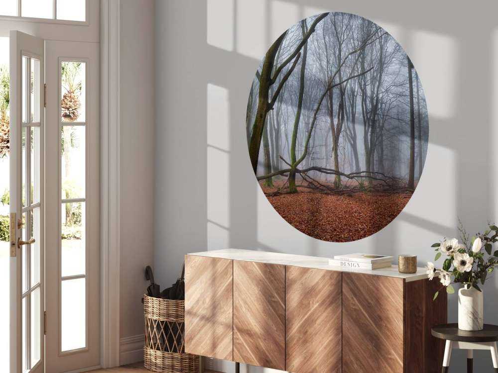 Mysterieus mistig bos