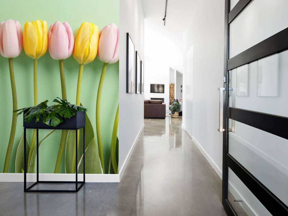 Tulpen op mintgroene achtergrond