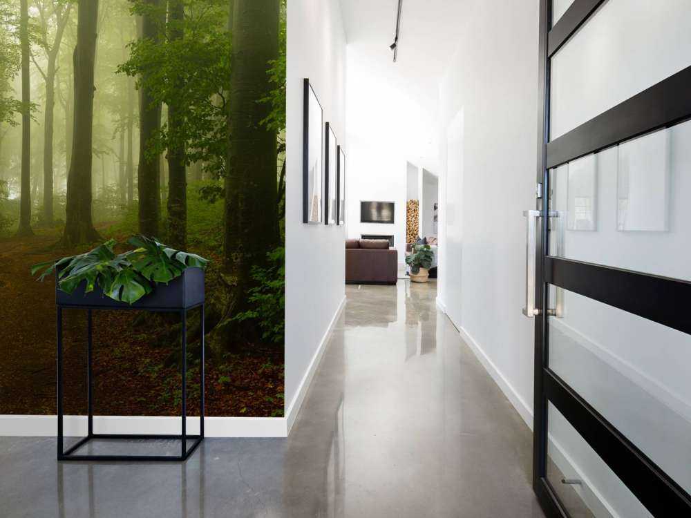 Pad door mistig groen bos