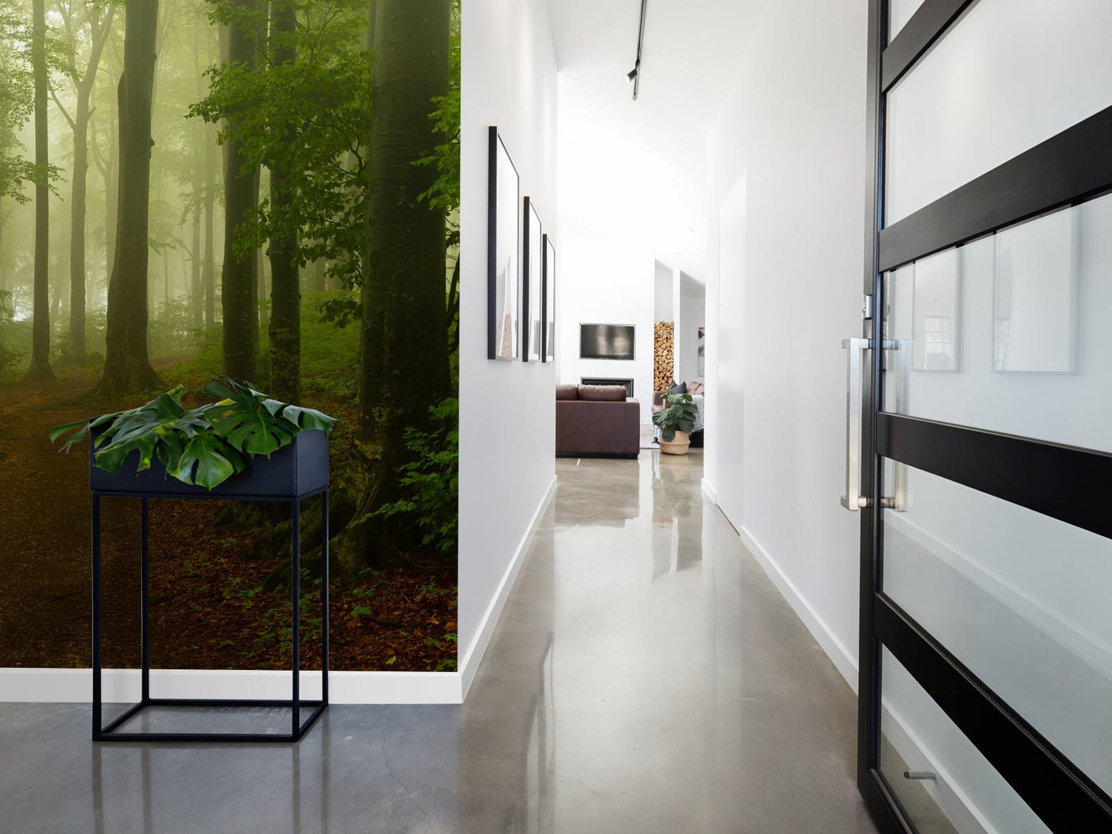 Pad door mistig groen bos