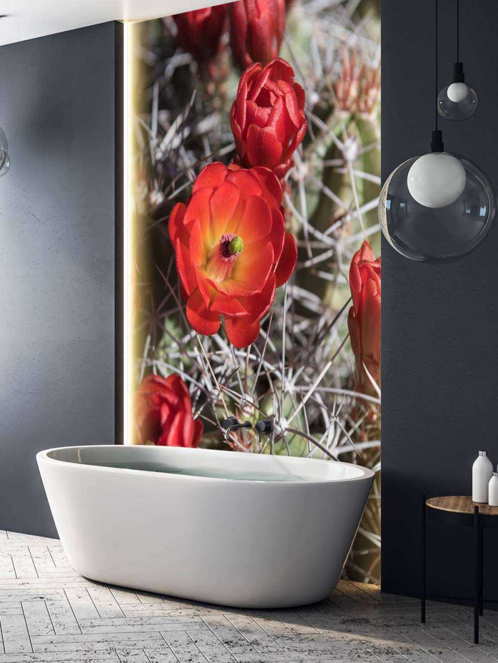 Rode cactus bloemen