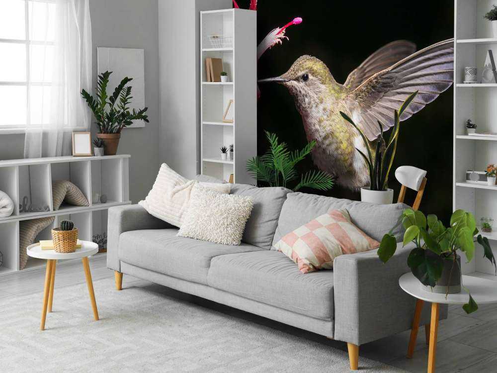 Kolibrie met rode bloem