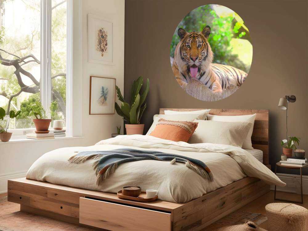 Siberische Tijger steekt tong uit