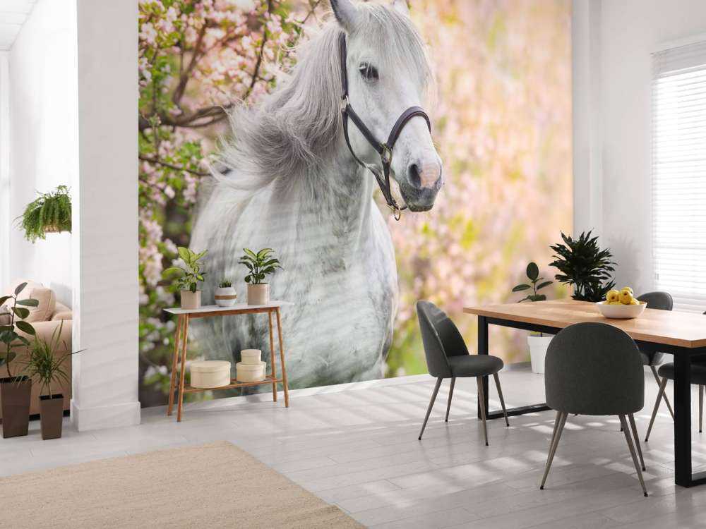 Wit Paard met Bloesem in Lente