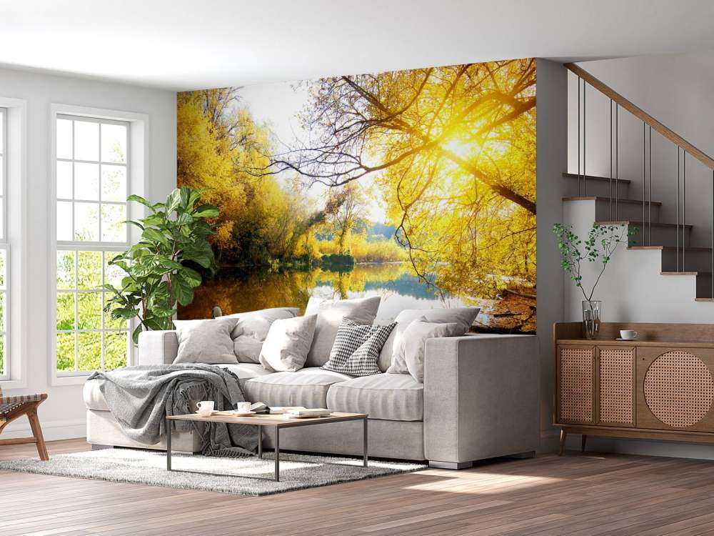 Witte Zwaan op Rivier met herfst