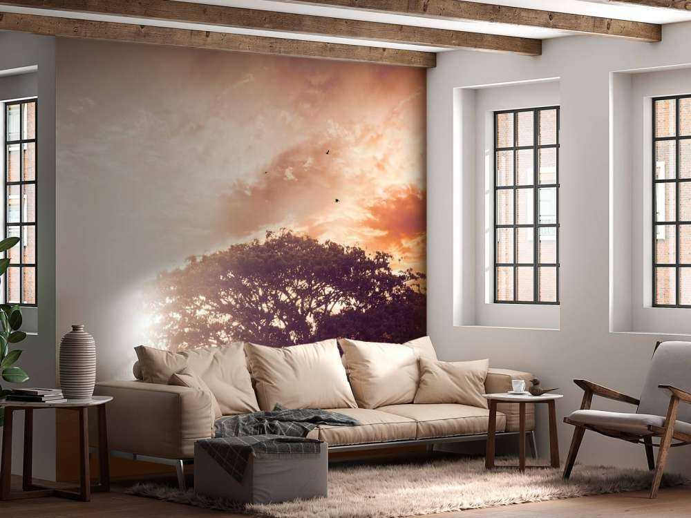 Bewerkte foto van een boom bij zonsondergang