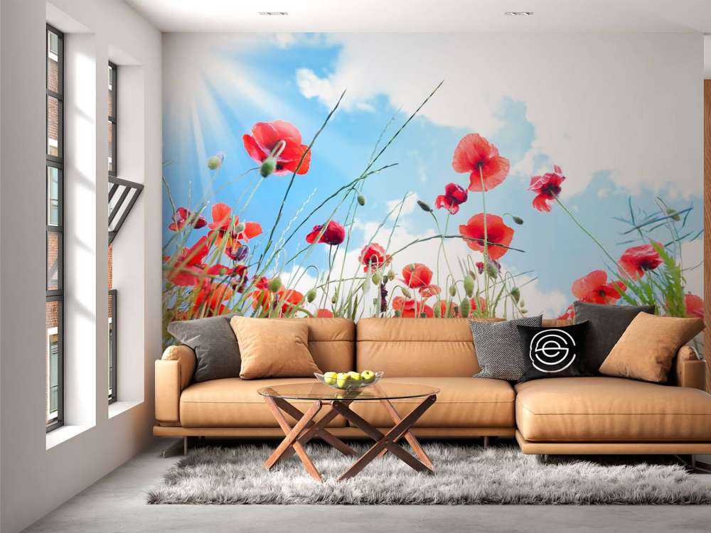 Klaprozen in het voorjaar