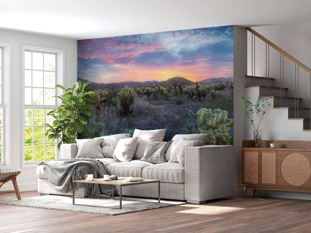 Cactusveld bij zonsondergang