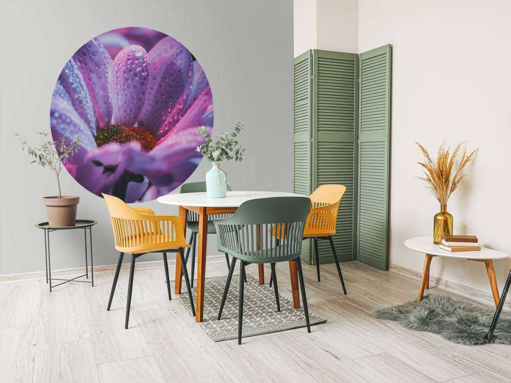 Chrysant bloem met dynamische kleuren