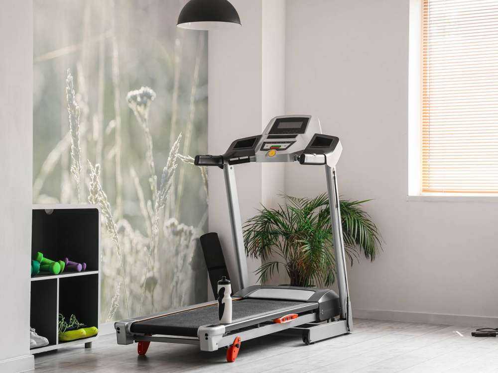 Weide planten in de zon met een wazige achtergrond