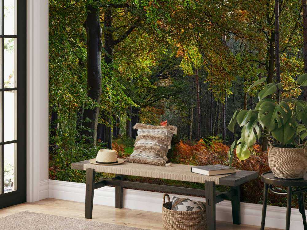 Pad met blaadjes door het bos