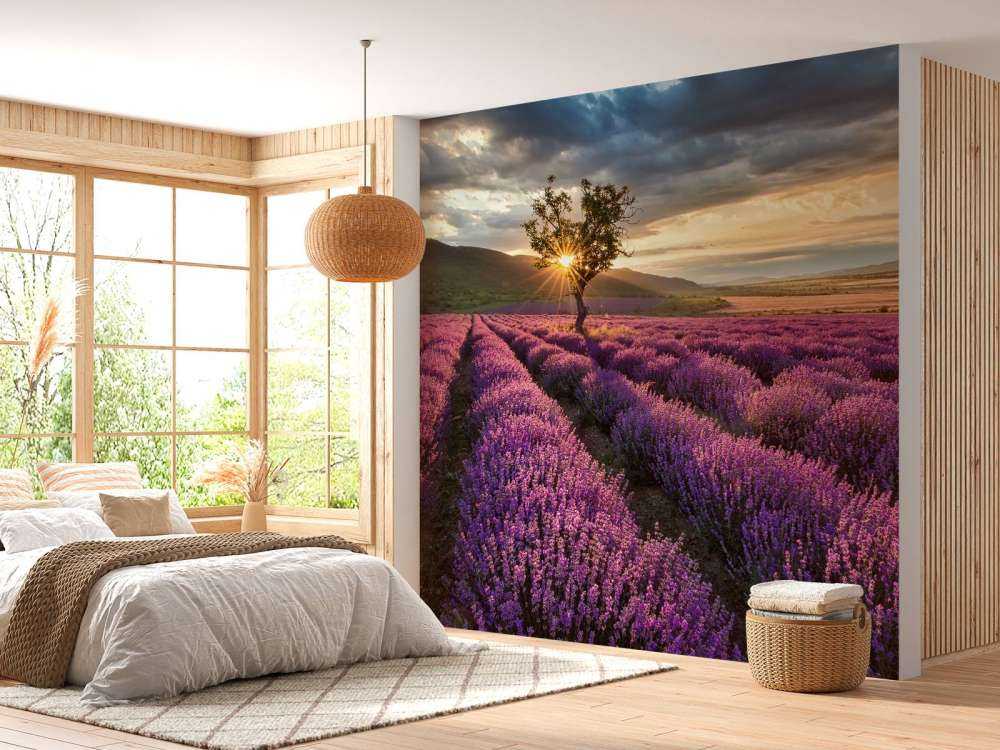 Prachtig landschap met lavendel veld bij zonsopkomst