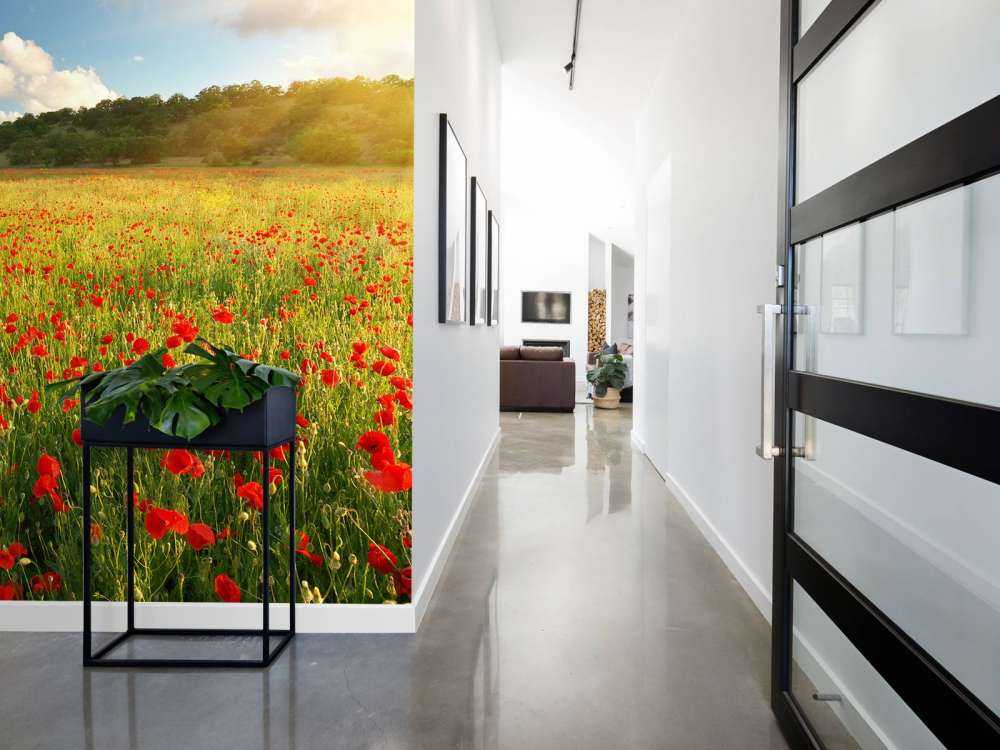 Klaprozen met Zonsondergang