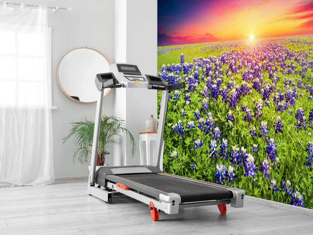 Bluebonnets met mooie Zonsondergang