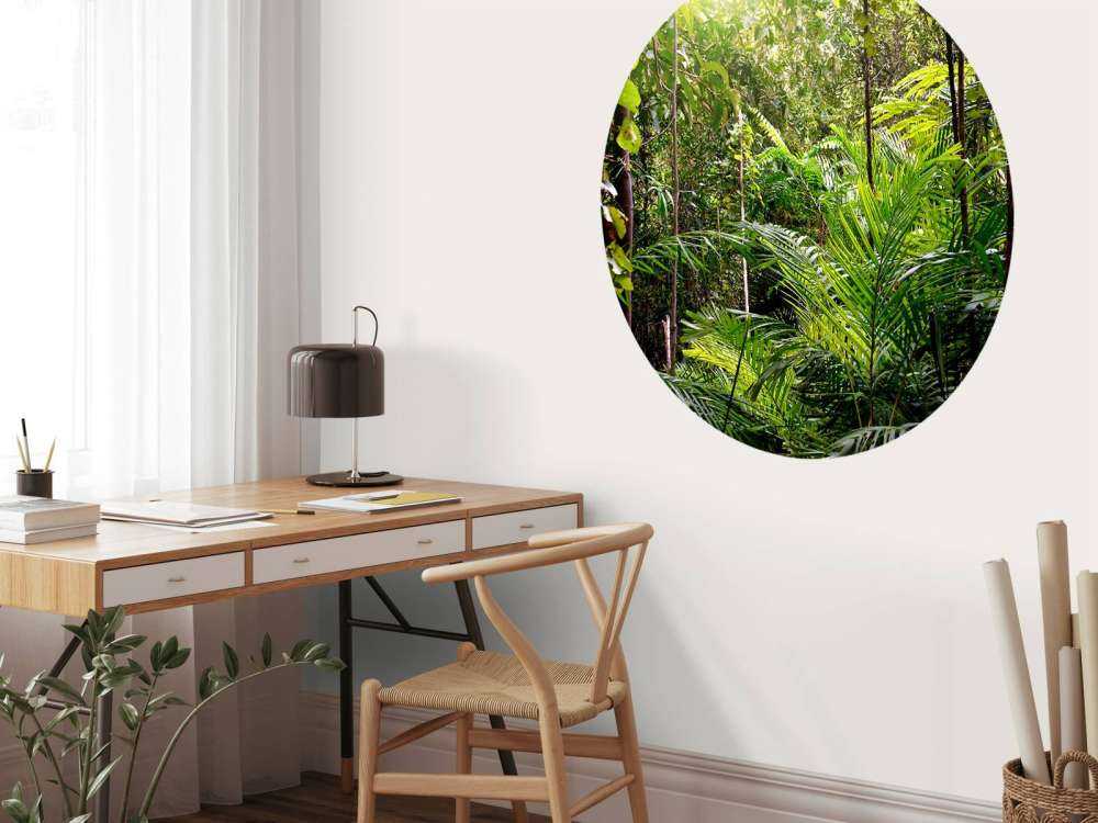 Vol gegroeid oerwoud