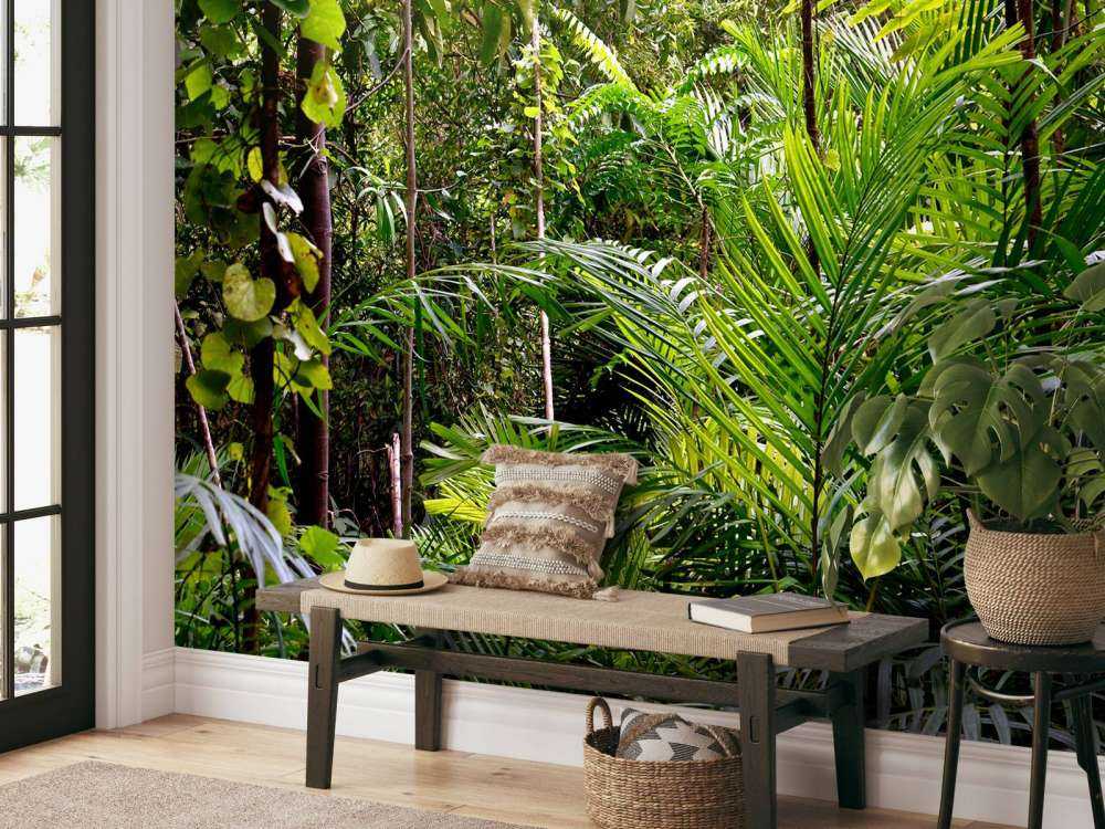 Vol gegroeid oerwoud