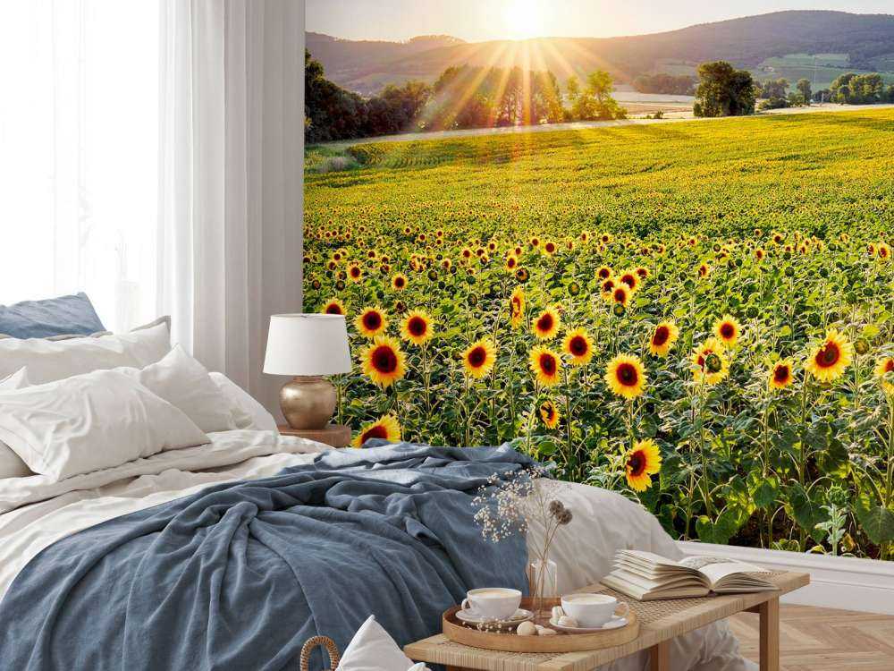 Berglandschap met zonnebloemen