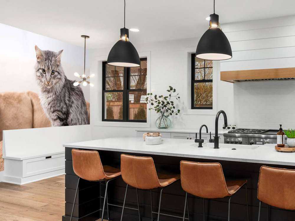 Grijze kat zit in een mand