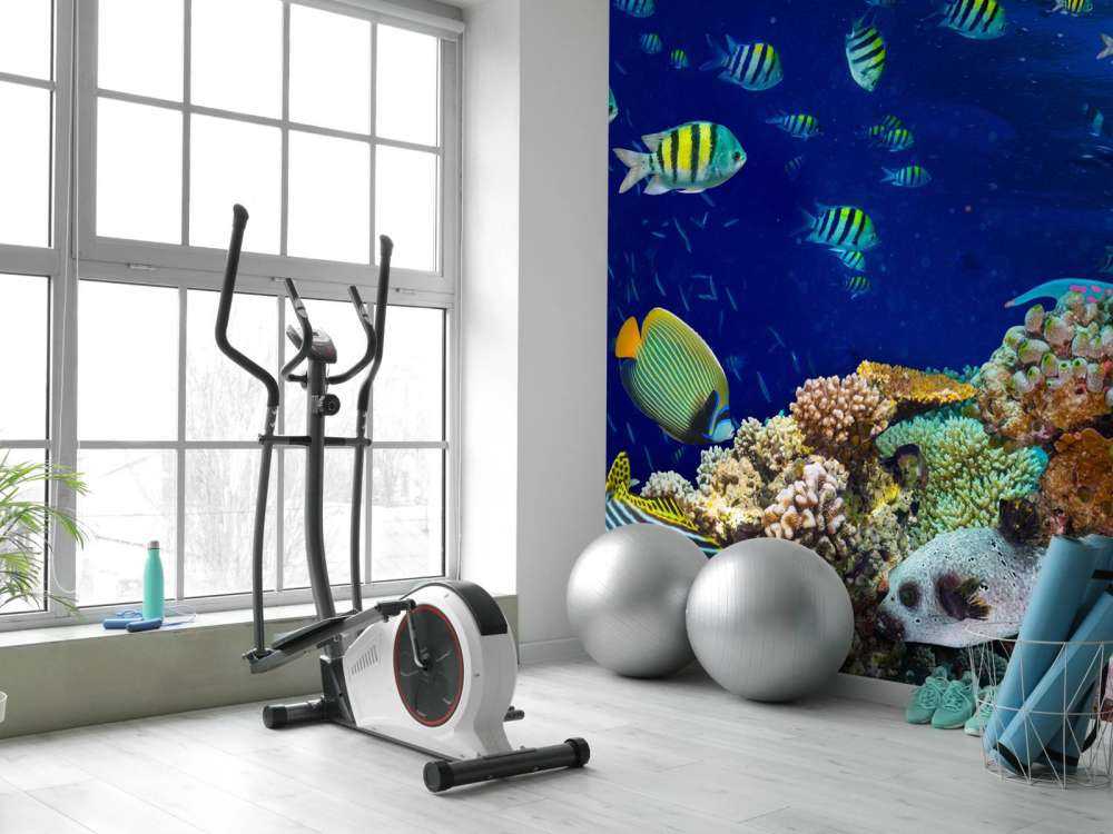 Zeeleven bij een koraalrif