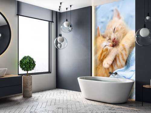 Baby katjes slapen knuffelend