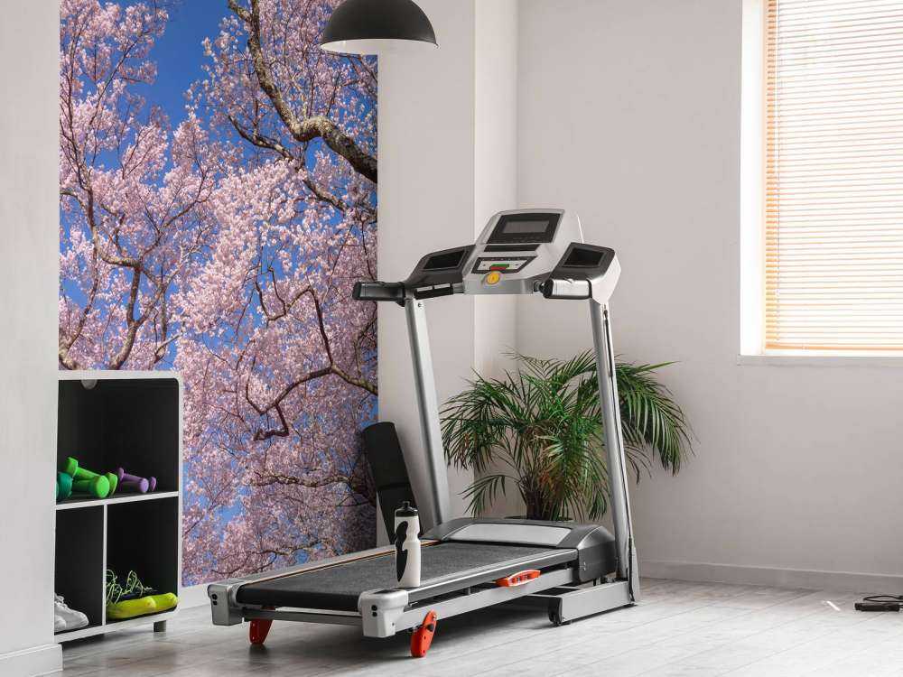 Bloesems met blauwe lucht