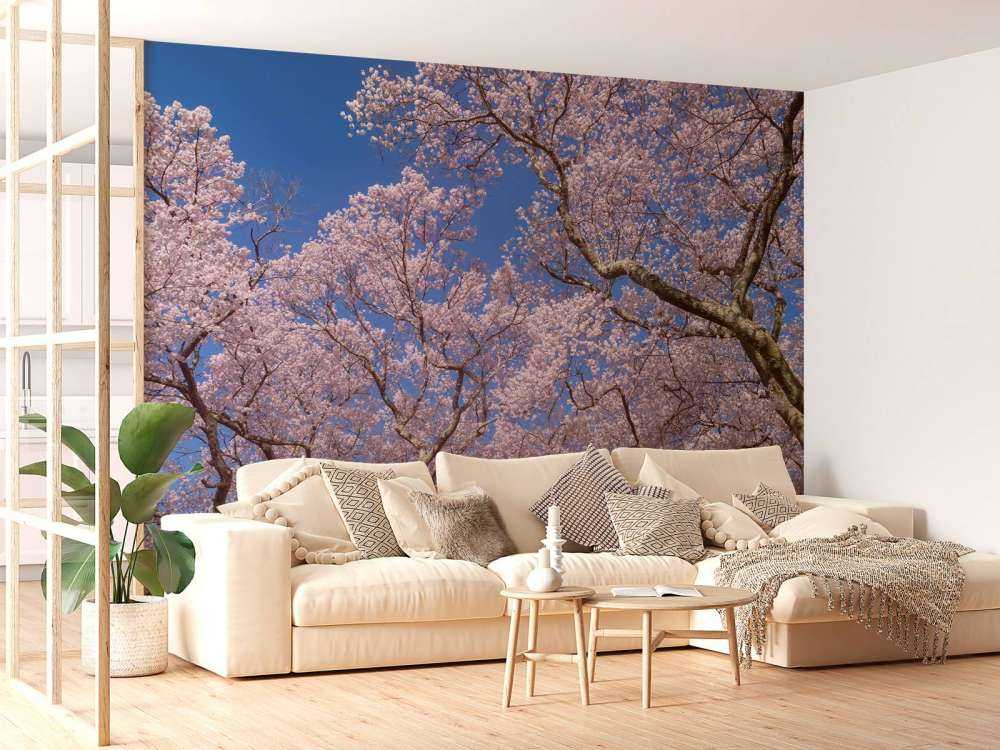 Bloesems met blauwe lucht