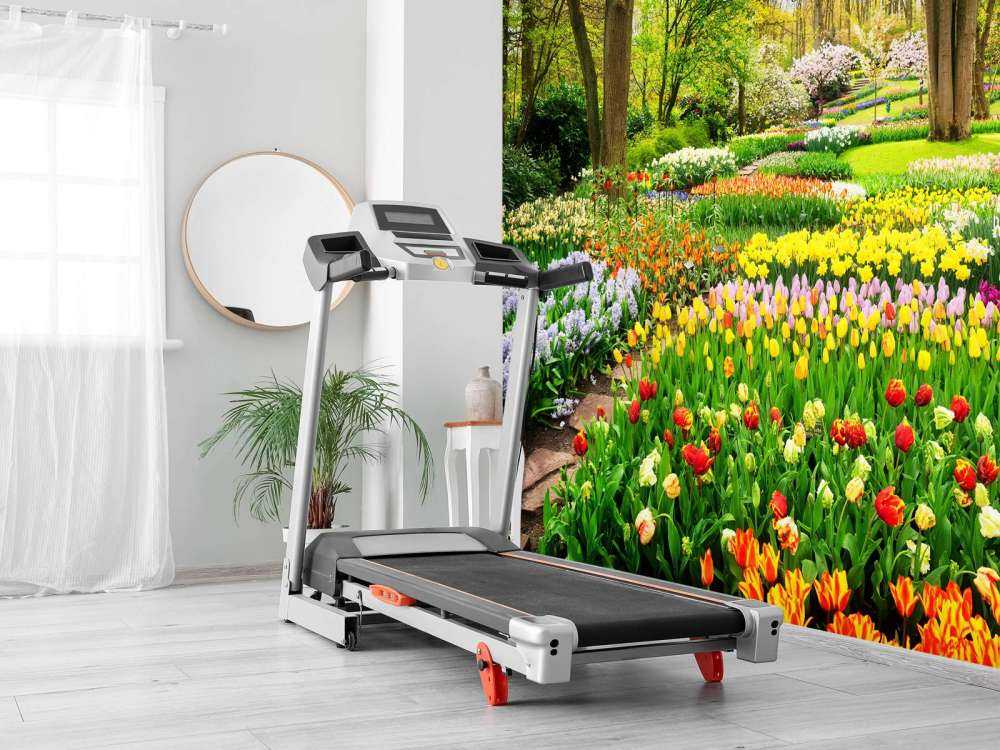 Tulpencreaties in een park