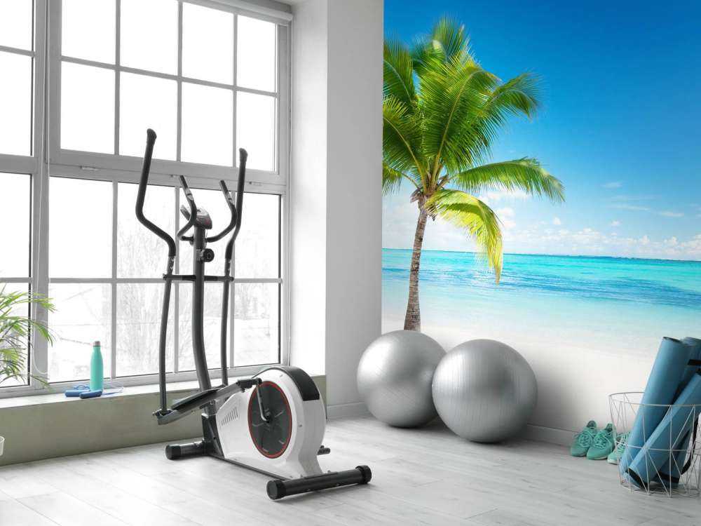 Rustgevende palmboom