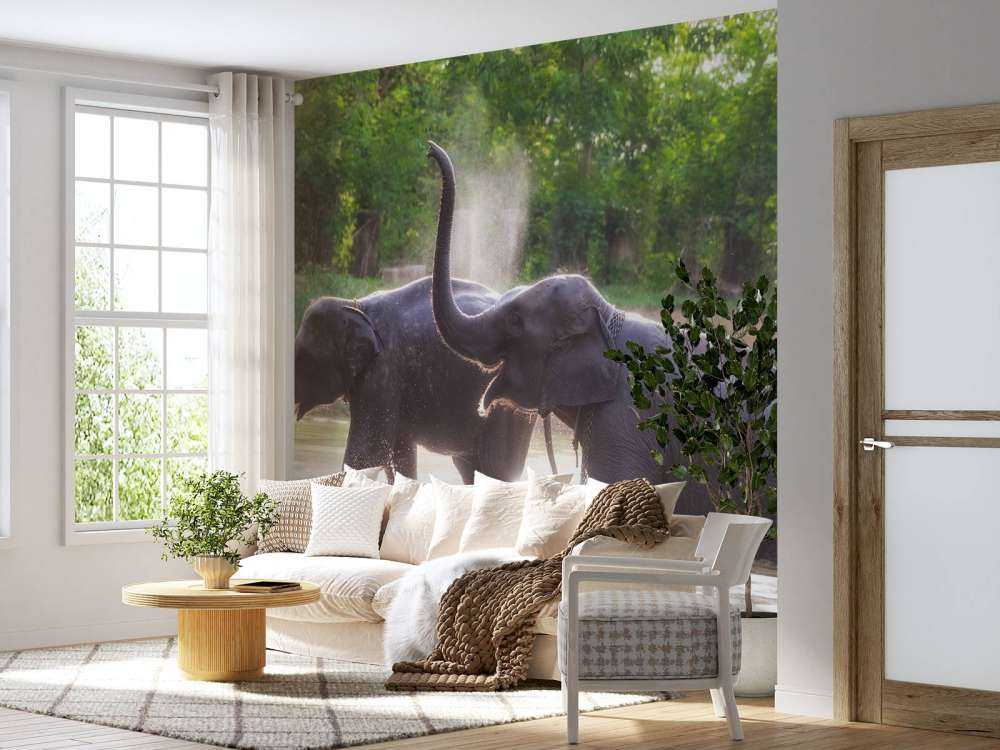 olifanten spelen in het water